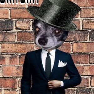 Meet your Posher, Ethan